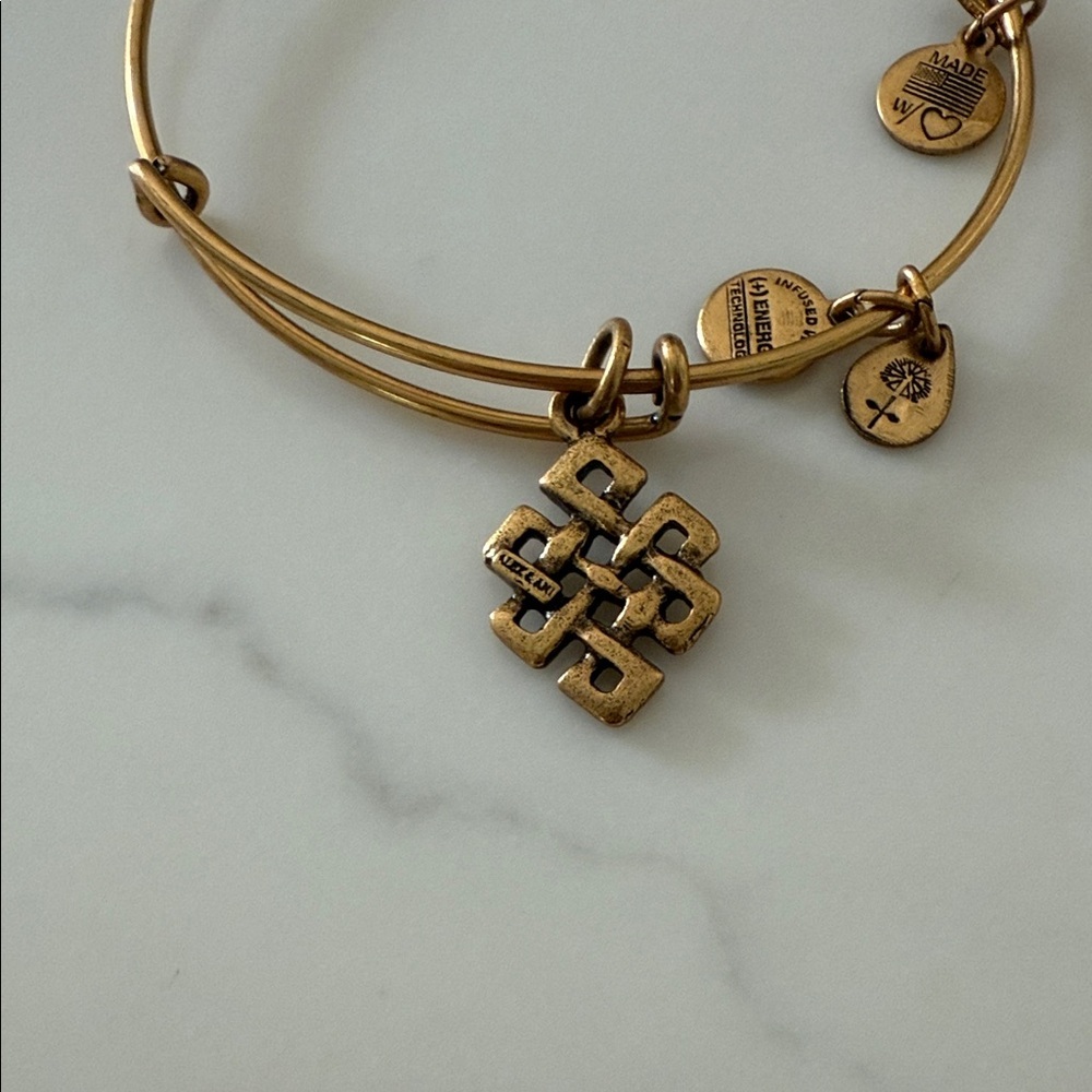 Alex and Ani Gold 2016 Bangle Bracelet Set - Picture 7 of 7